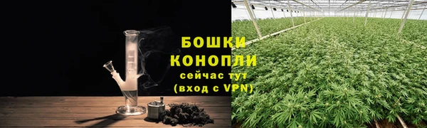 крисы Киренск