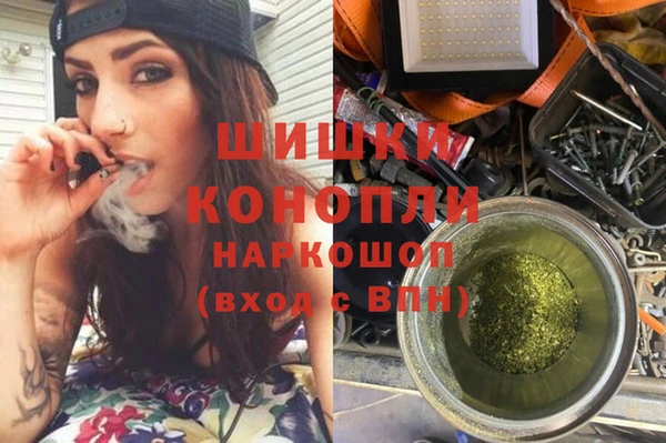 крисы Киренск