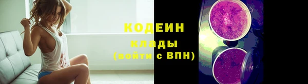 крисы Киренск
