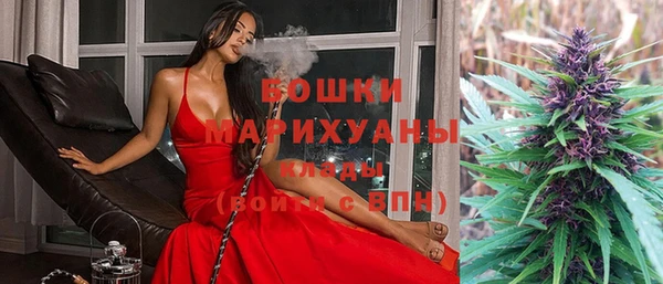 крисы Киренск