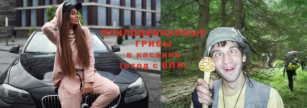 крисы Киренск