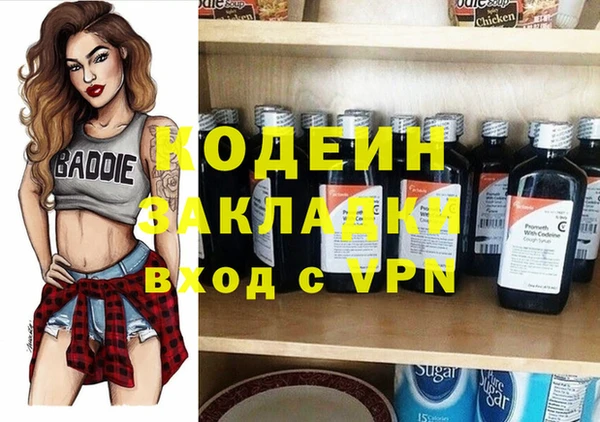 крисы Киренск