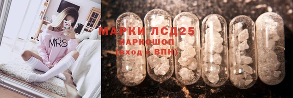 крисы Киренск