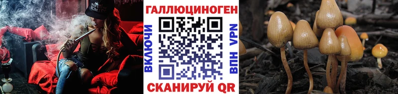 Купить  Самара  Галлюциногенные грибы Psilocybe 